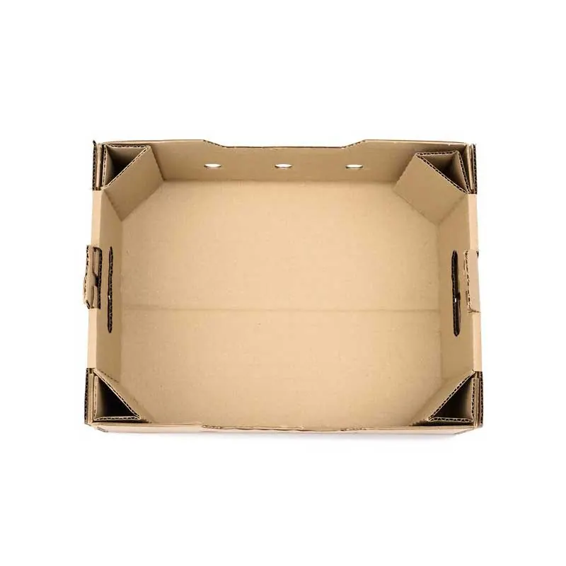 Corrugated fold-up tray for produce and multipacks